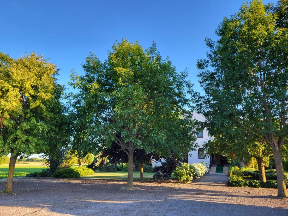 Sobe Pilajevo 2, 183 Ulica Stjepana Radica, Gola Apartment Exterior foto