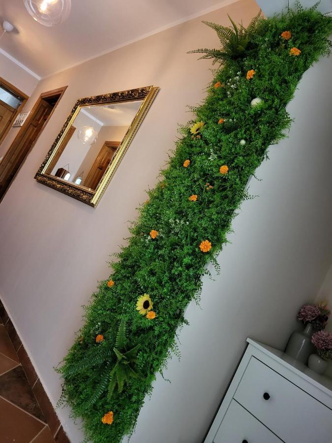 Sobe Pilajevo 2, 183 Ulica Stjepana Radica, Gola Apartment Exterior foto