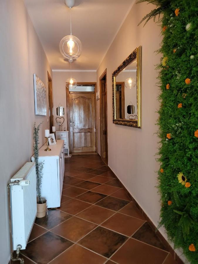 Sobe Pilajevo 2, 183 Ulica Stjepana Radica, Gola Apartment Exterior foto